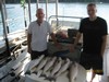 (07/11/2017) - Nice Striped Bass